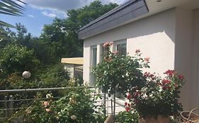 Appartement In Trier-Ruwer